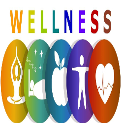 Healthy Lifestyle and Wellness